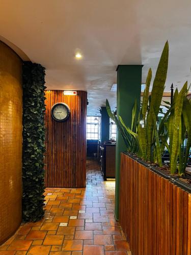 hotel solar da beira