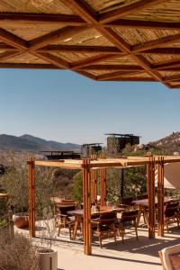 valle de guadalupe