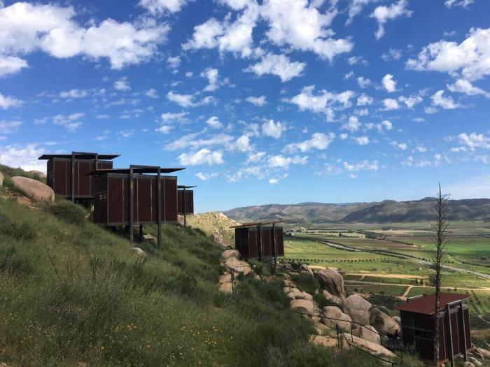 encuentro guadalupe