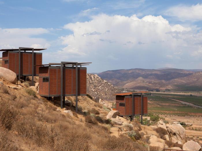 encuentro guadalupe