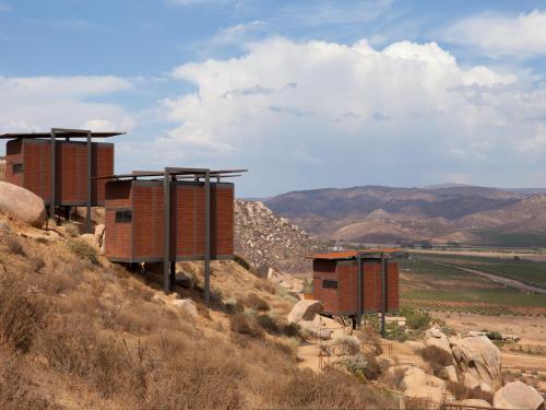 encuentro guadalupe