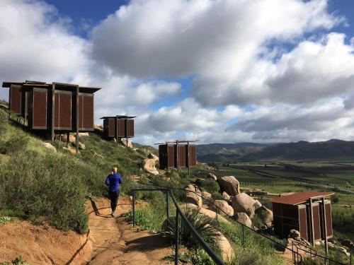 encuentro guadalupe