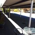 alfa motel
