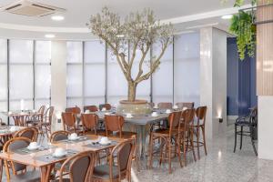 hotel mogano premium