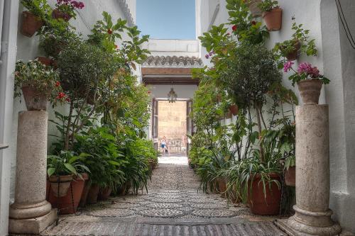 los patios hotel
