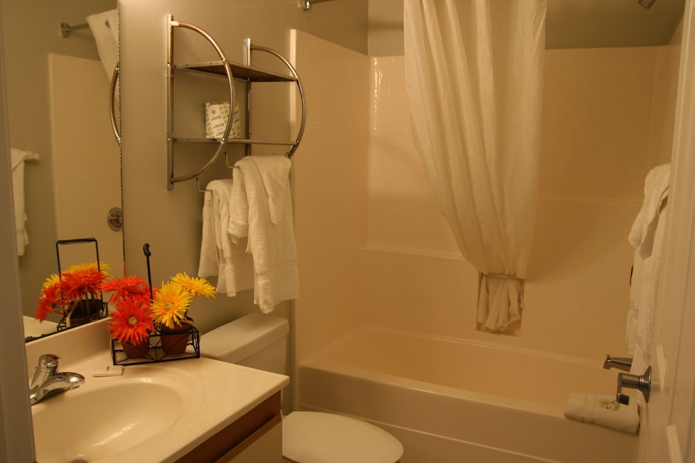 affordable suites shelby