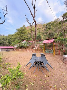 birds the jungle retreat