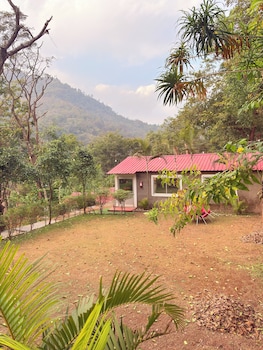 Birds The Jungle Retreat,,3 star