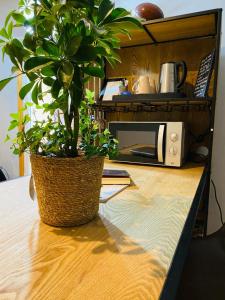 les chambres dovaline