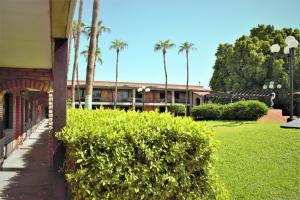 hotel colonial mexicali