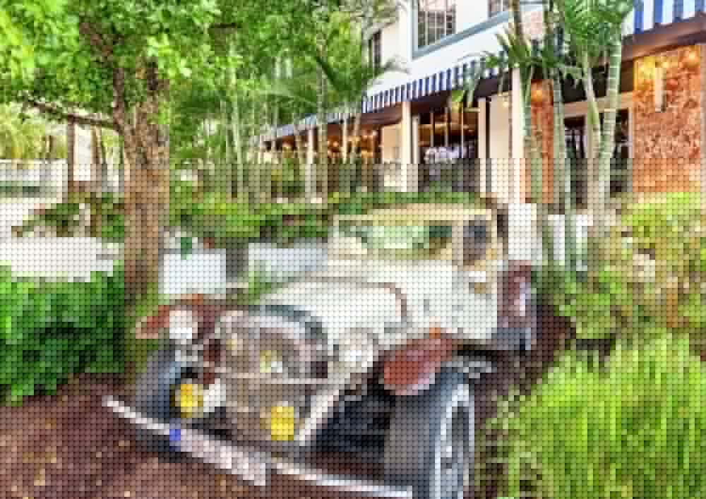 gale south beach curio collection by hilton