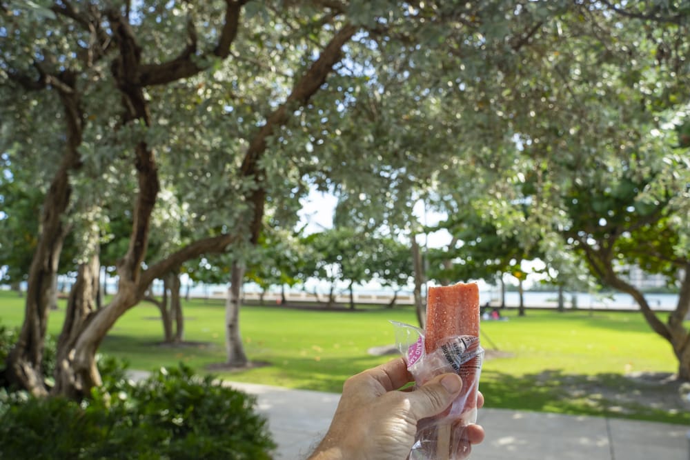 greenview hotel by lowkl