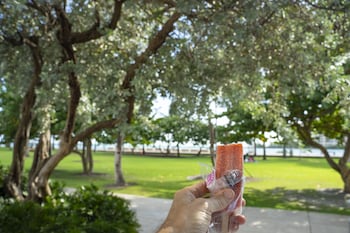 greenview hotel by lowkl