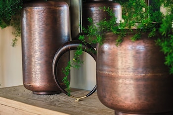 estimar marina farnals