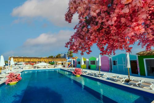 porto marina resort and spa al alamein