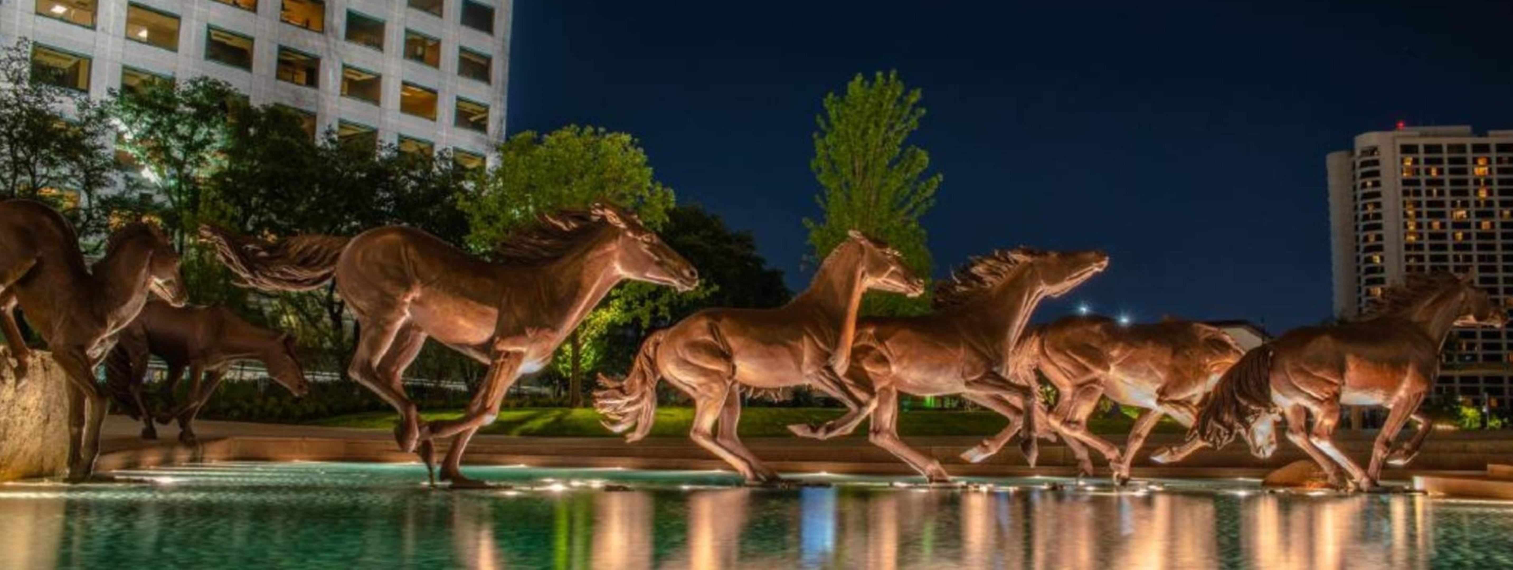 hotel indigo irving las colinas an ihg hotel