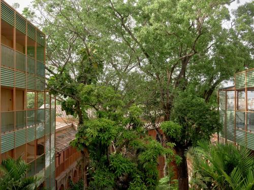 kimpton las mercedes an ihg hotel