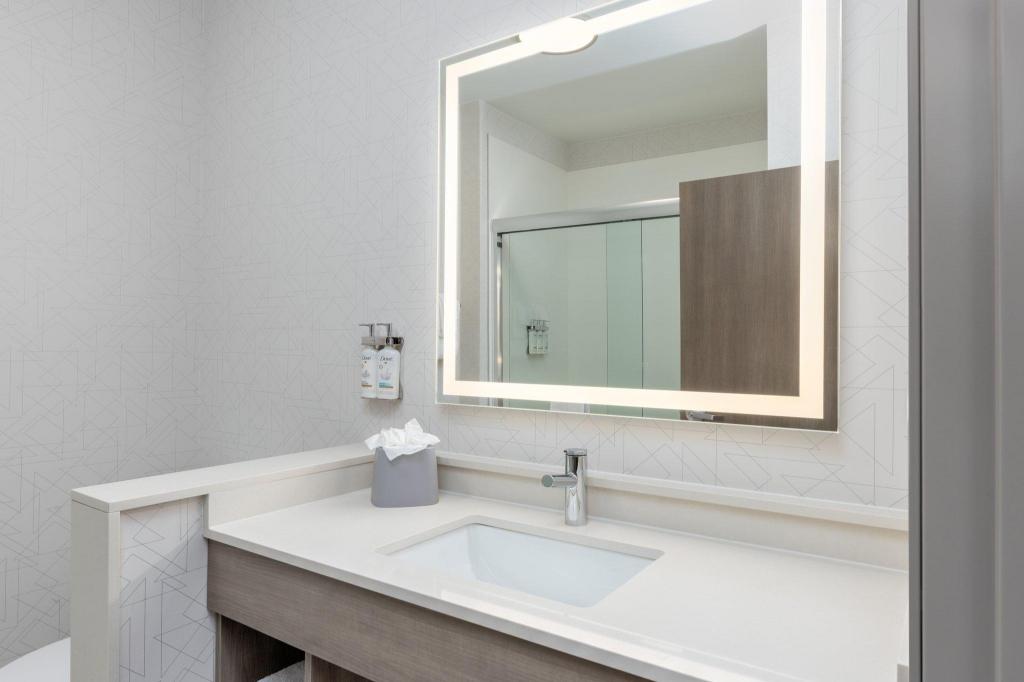 holiday inn express and suites austin airport east