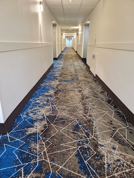 comfort inn boston milford