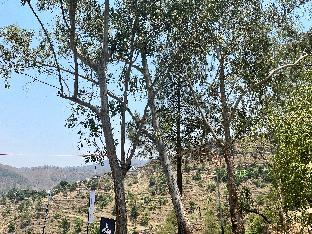 crestmont snow view resort ranikhet