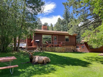 castle mountain lodge