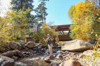 Castle Mountain Lodge,1520 Fall River Rd,2 star