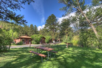 castle mountain lodge
