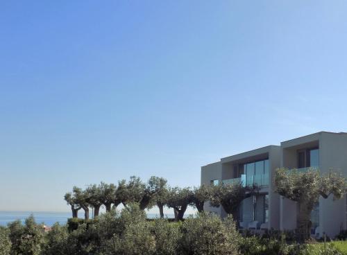 vasto