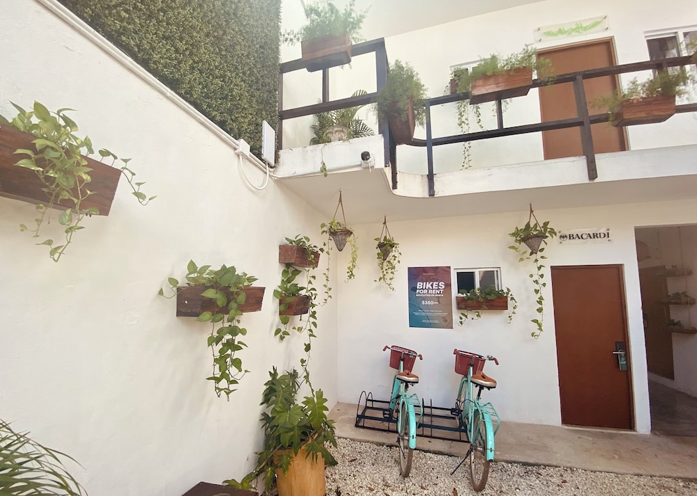 enigmatic hotel experience