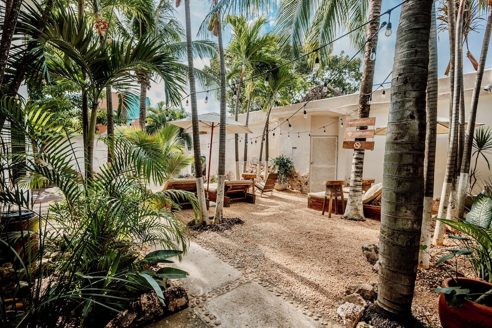 enigmatic hotel experience