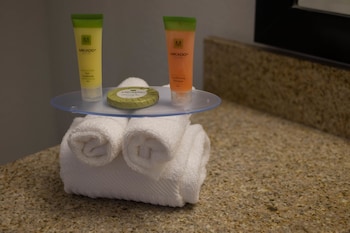 rodeway inn clearwater central