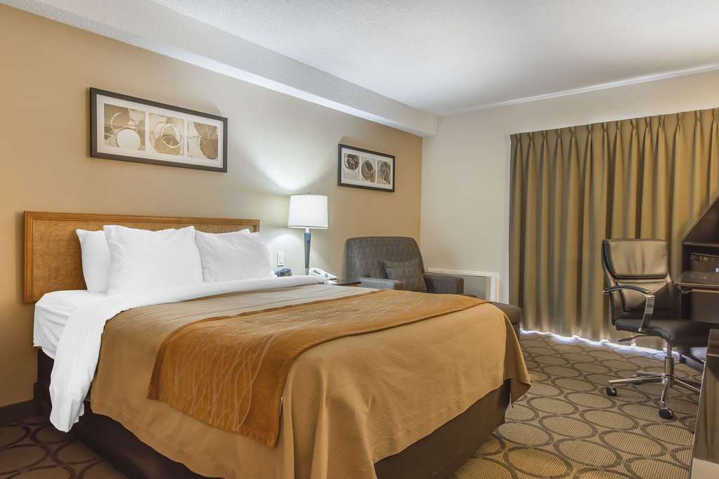 comfort inn magnetic hill