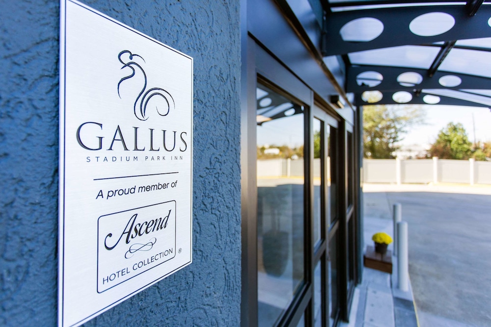 gallus stadium park inn ascend hotel collection