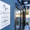gallus stadium park inn ascend hotel collection