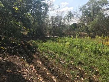 snehban agro farm resort