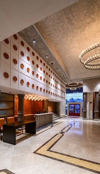 regenta inn downton raipur