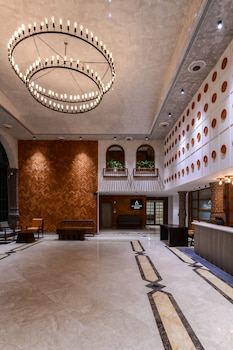 regenta inn downton raipur