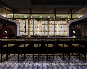 regenta inn downton raipur