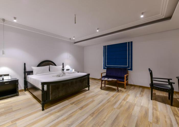 regenta inn downton raipur