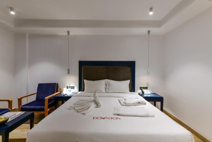 regenta inn downton raipur