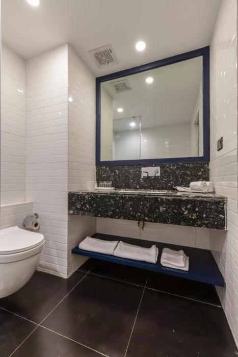 regenta inn downton raipur