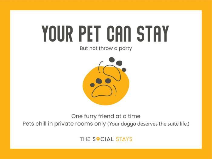 the social stays goa