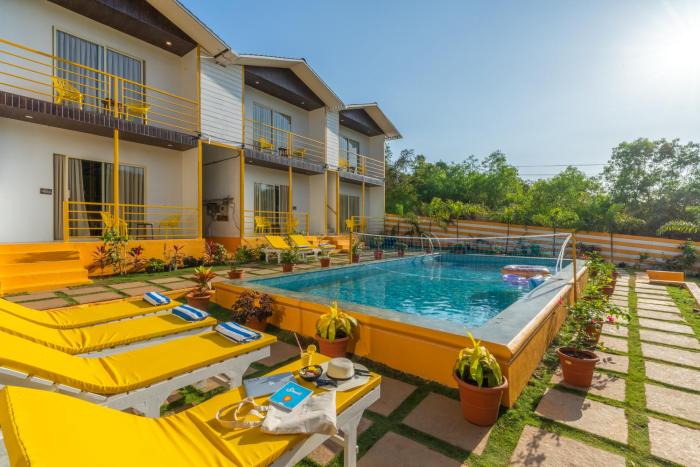 the social stays goa