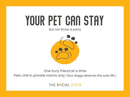 the social stays goa
