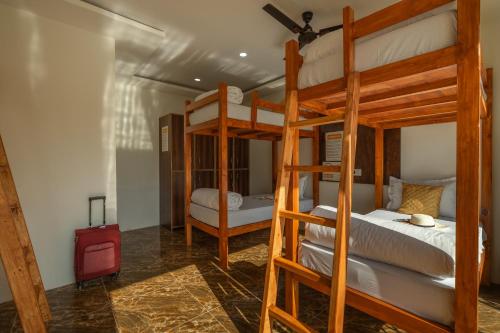the social stays goa