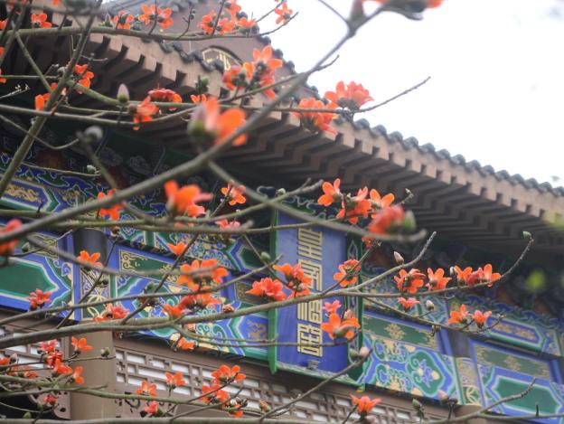 haikou