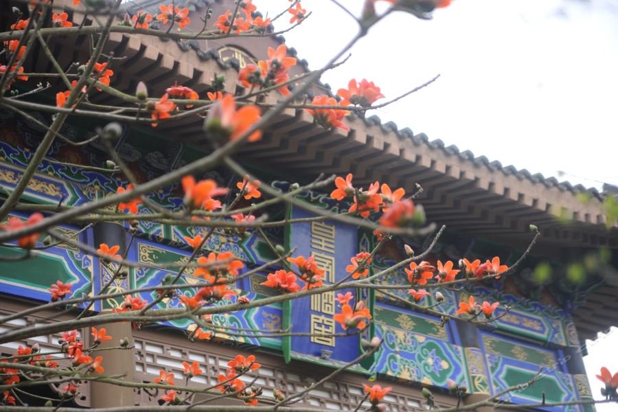 haikou