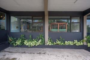 urbanview hotel umbrella dieng by reddoorz