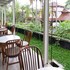 bogor