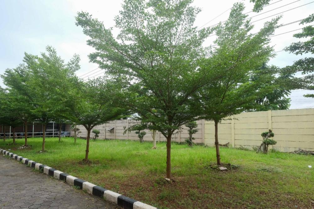 reddoorz putri syariah brebes